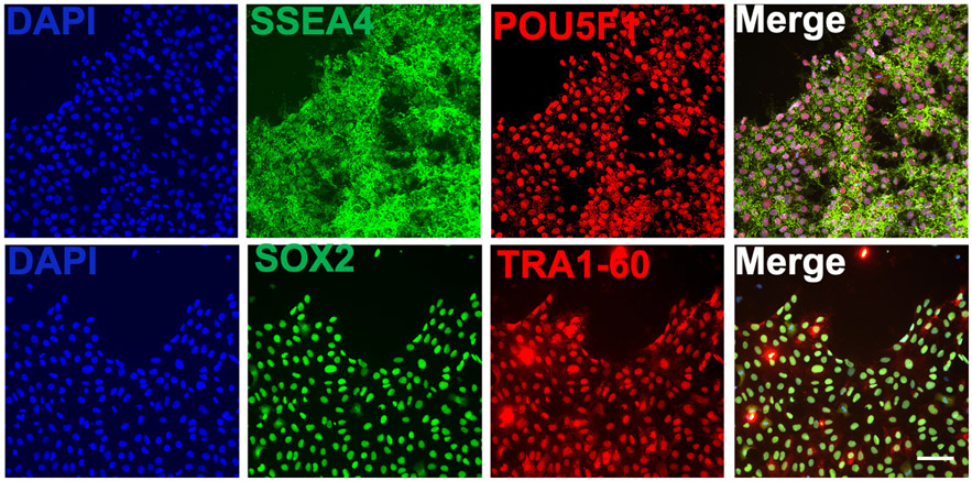 Figure 3.