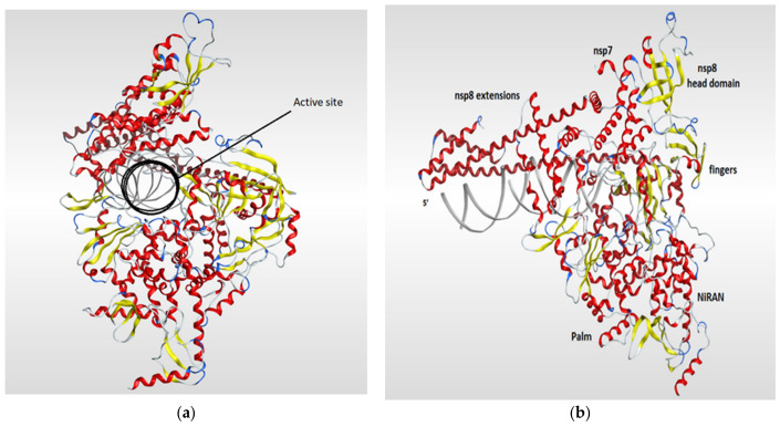 Figure 7