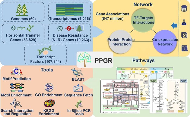 Graphical Abstract