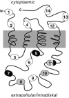 F<sc>ig</sc>.6.