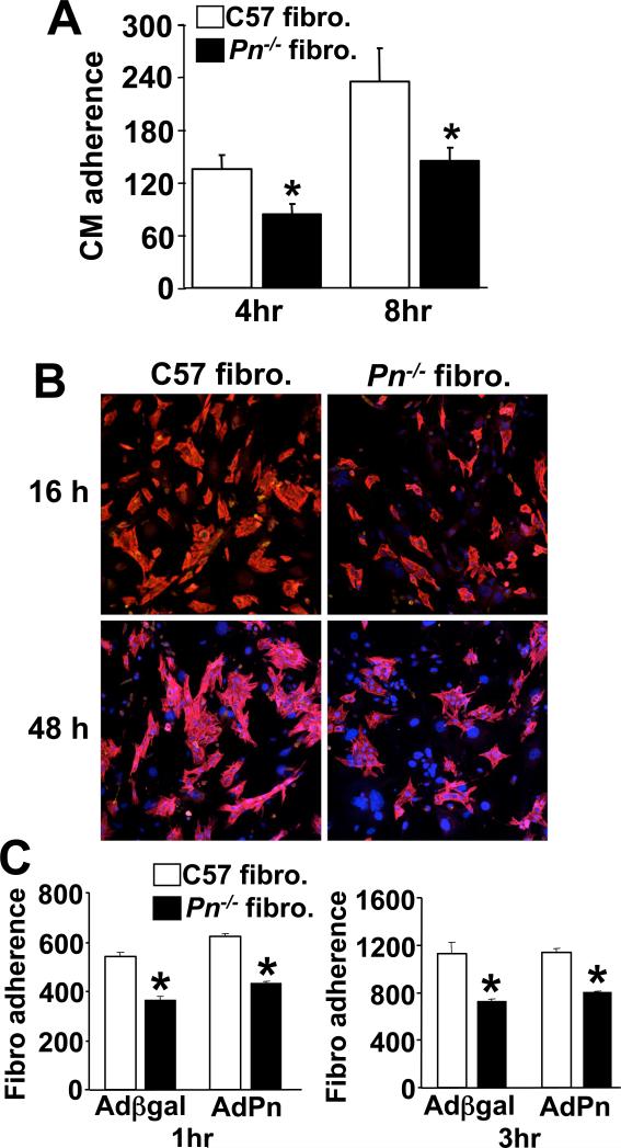 Fig 7