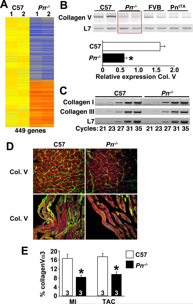 Fig 5