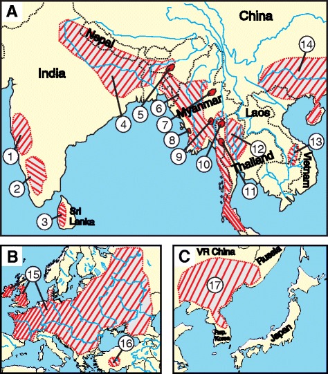 Fig. 1