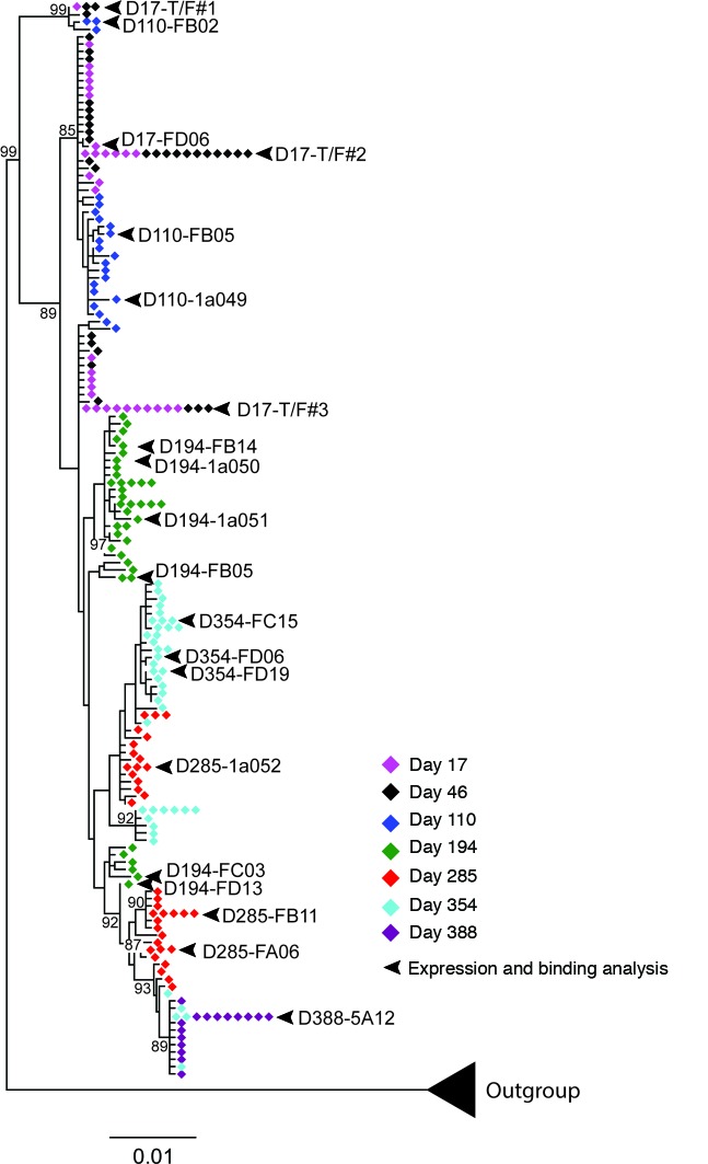 Figure 7