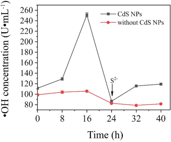 Fig. 11