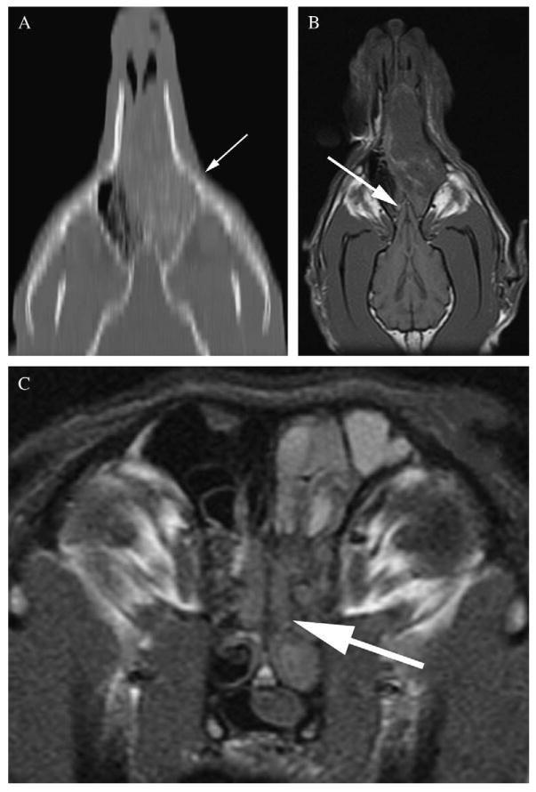 FIG 5