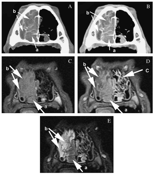 FIG 4