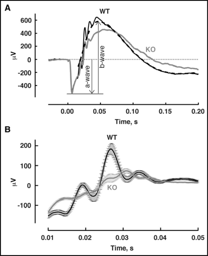 Fig. 11