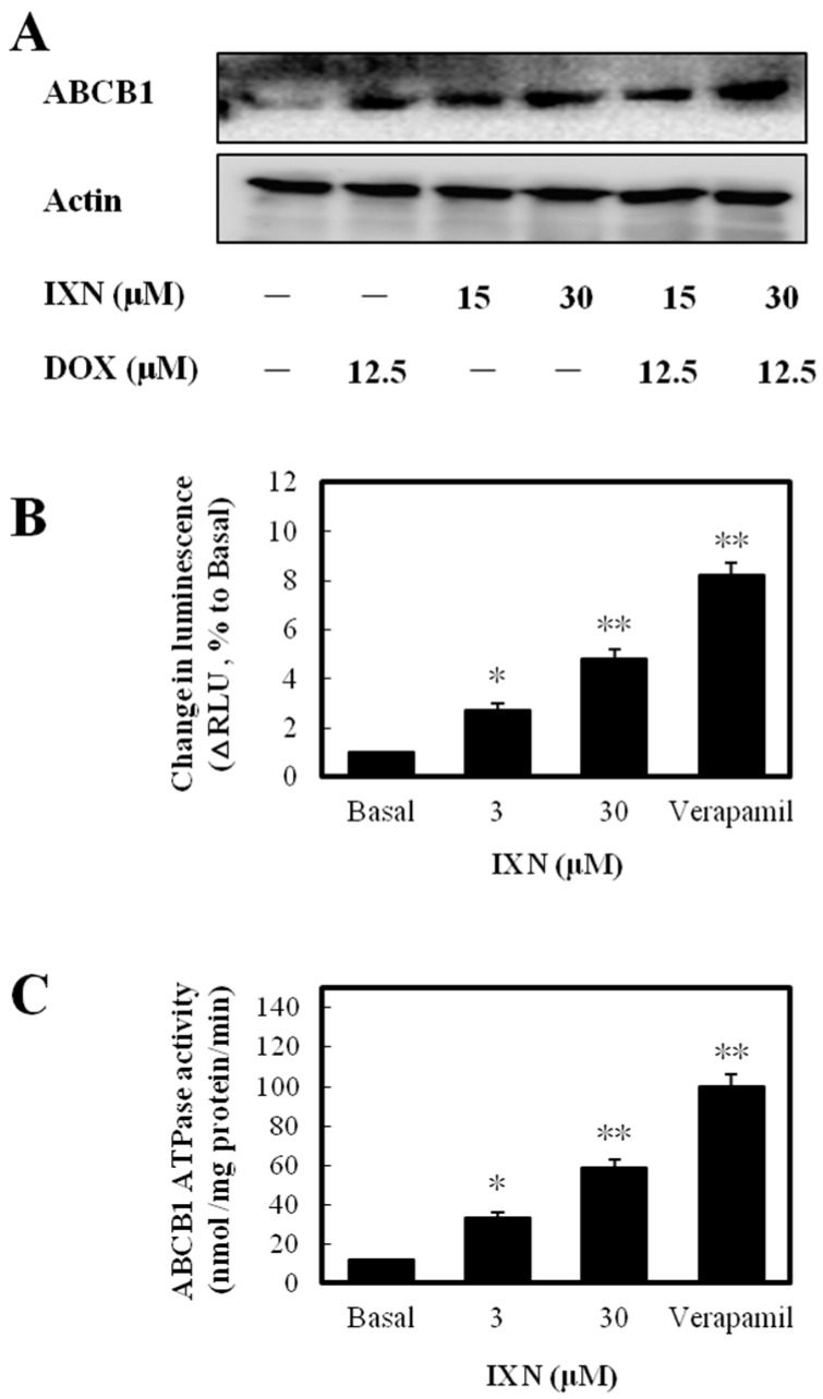 Figure 5