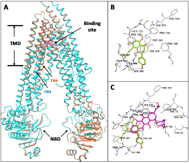 Figure 6