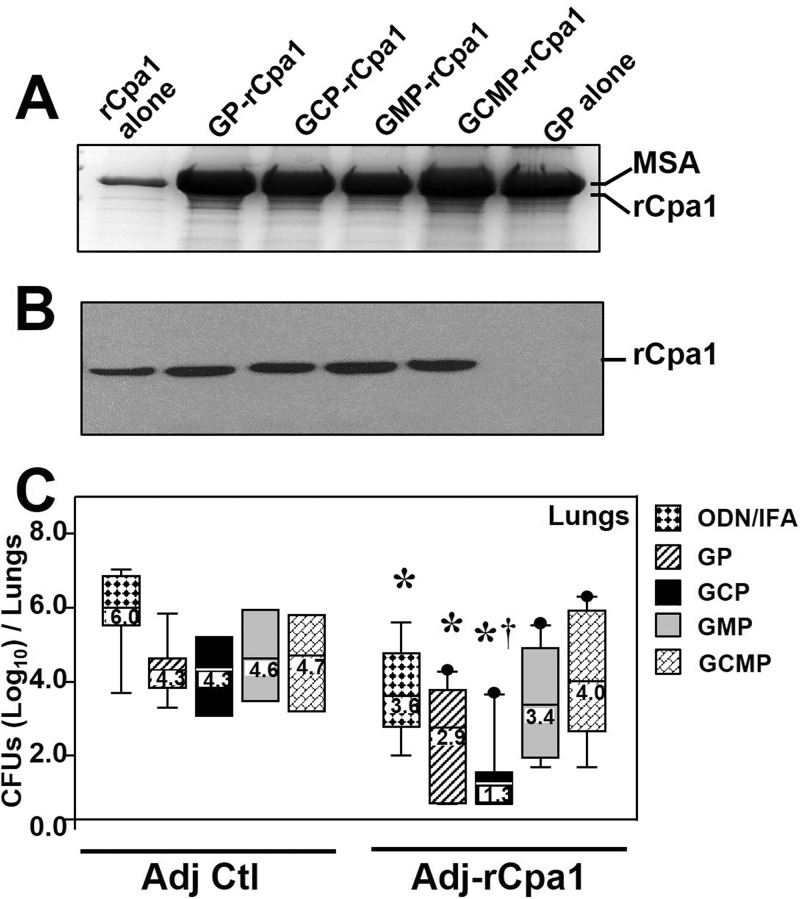 FIG 2