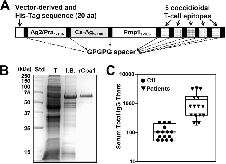 FIG 1