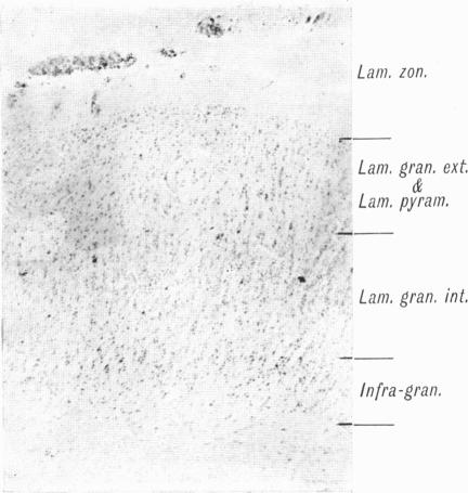 Fig. 13