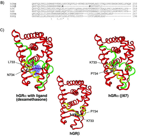 FIG. 8.