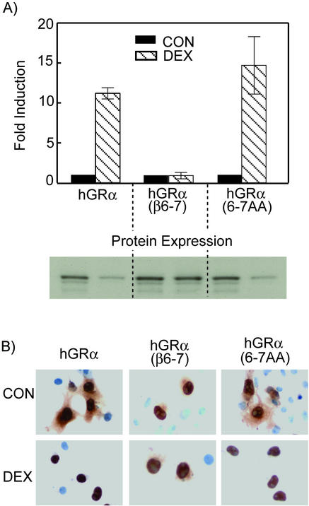 FIG. 7.