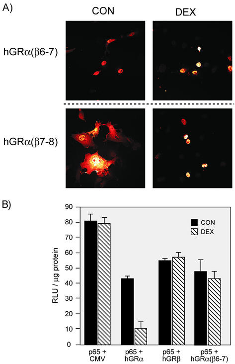 FIG. 6.