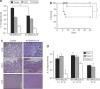 <b>Figure 6</b>