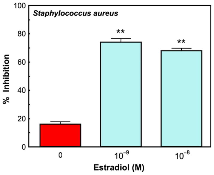 Fig. 16