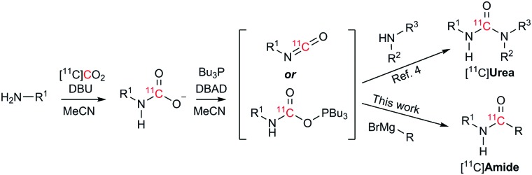 Scheme 2