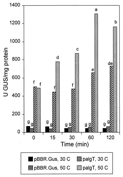 FIG. 7