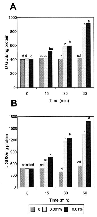 FIG. 6