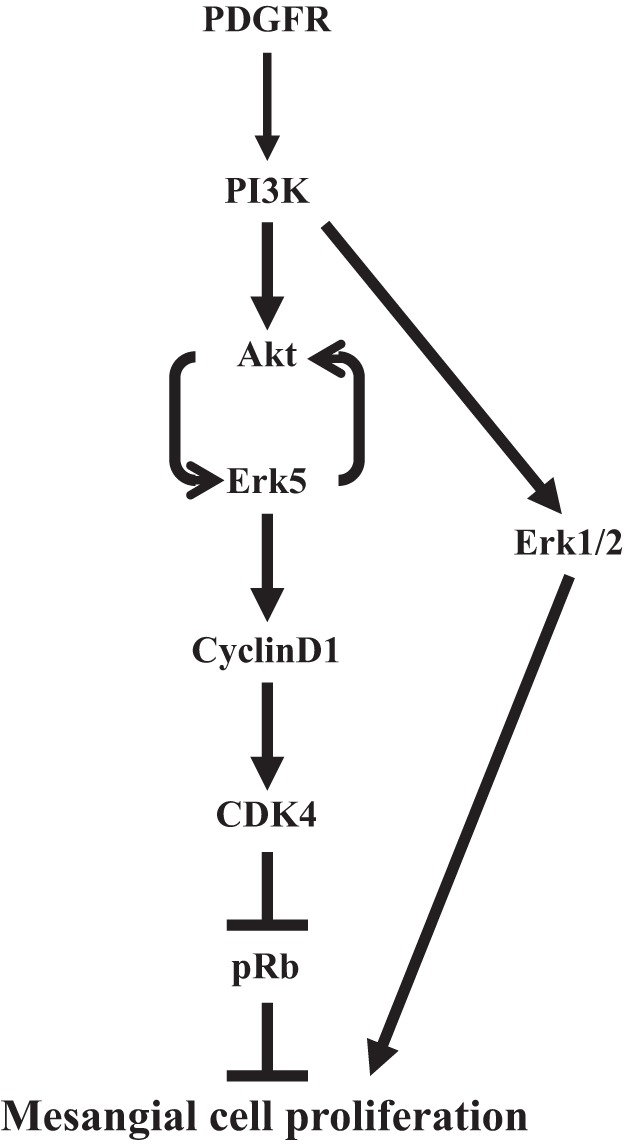 Fig. 9.