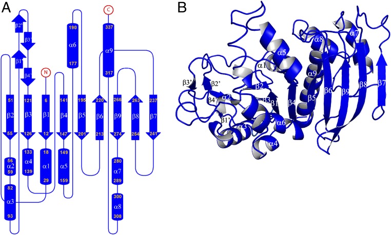 Fig. 2.