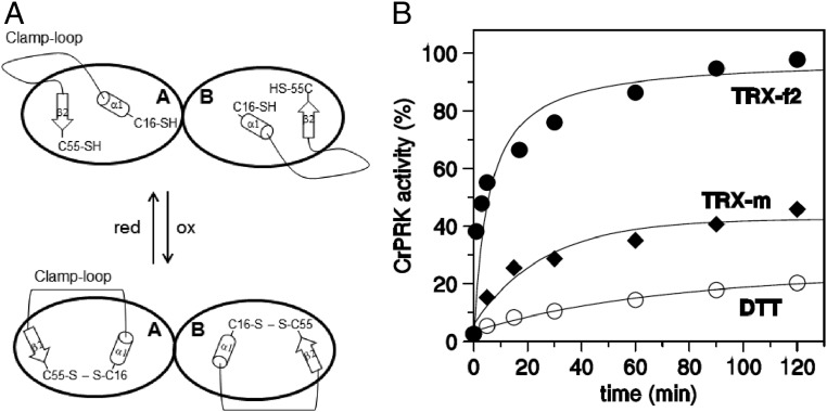 Fig. 5.