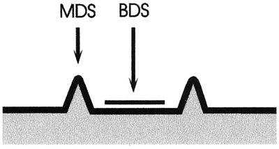 FIG. 1