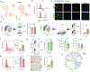 Extended Data Fig. 8 |