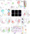 Fig. 7 |