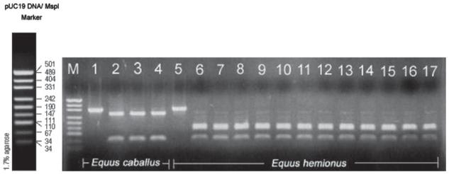 Figure. 3