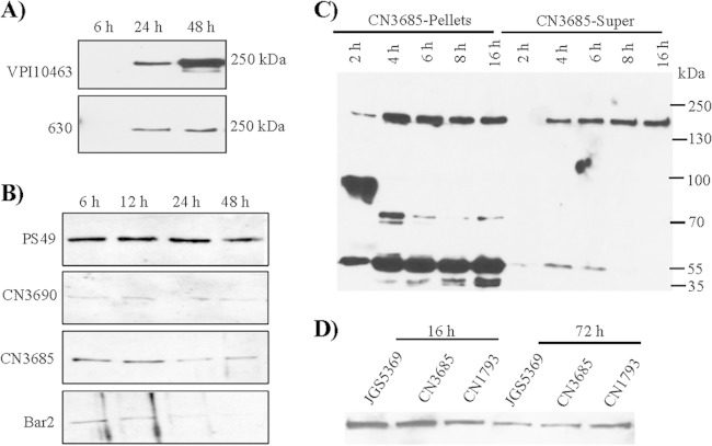 FIG 2