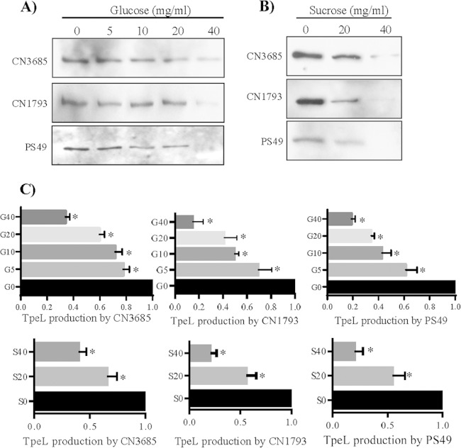 FIG 3