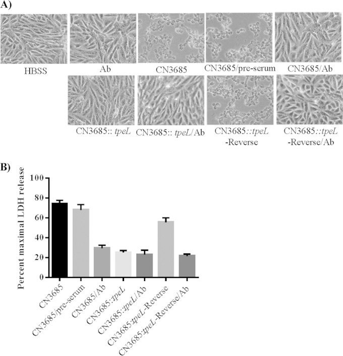 FIG 6