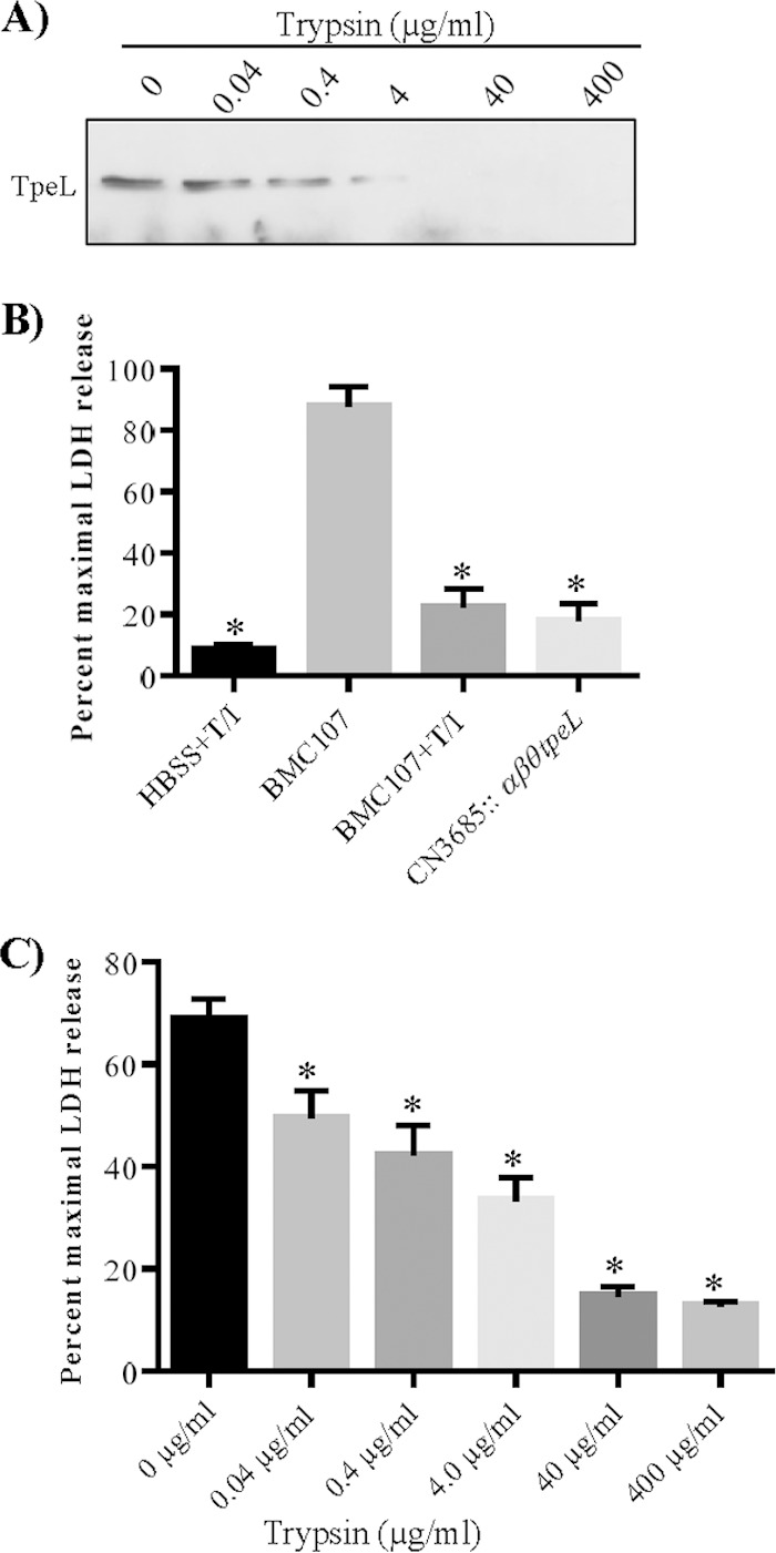 FIG 8