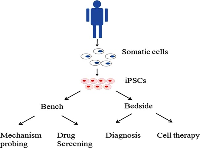 Figure 1