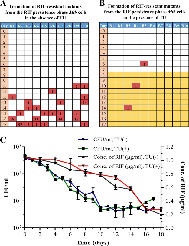 FIG 3