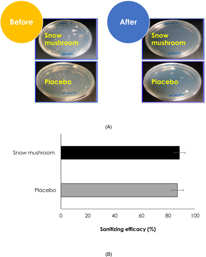 FIGURE 3