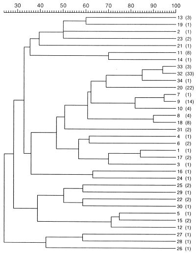 FIG. 1