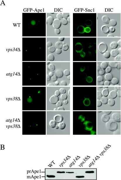 Figure 4.