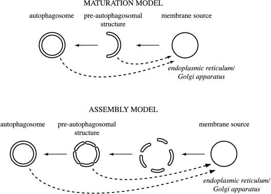 Figure 9.