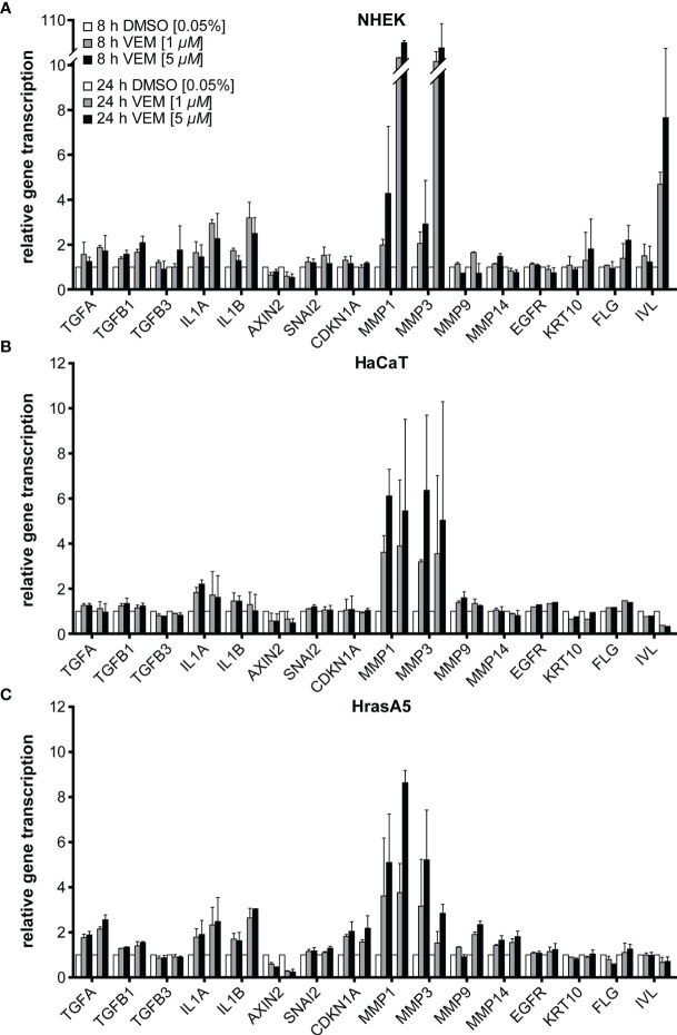 Figure 2