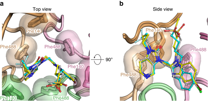 Fig. 3