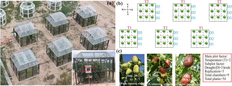 Fig. 11