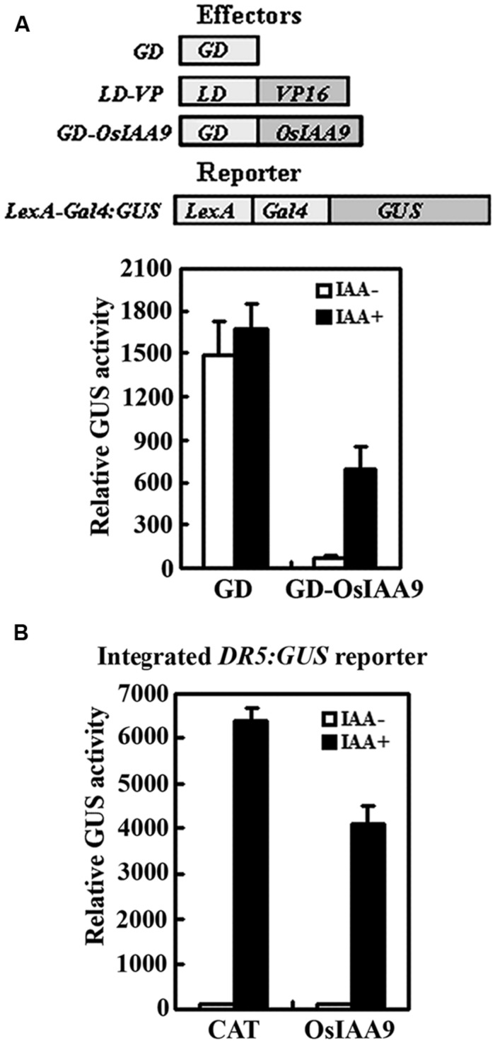 FIGURE 3