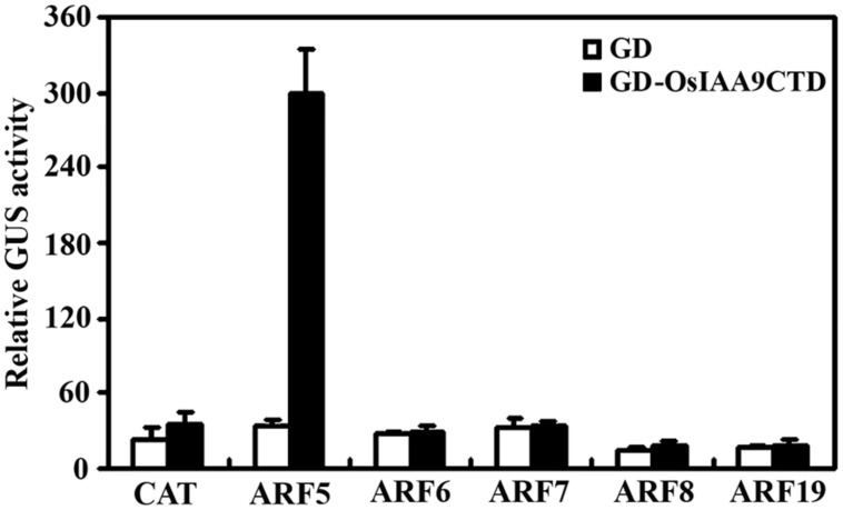 FIGURE 4