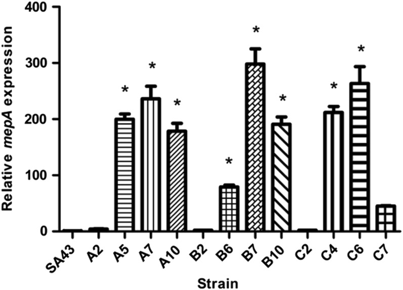 FIG. 1.