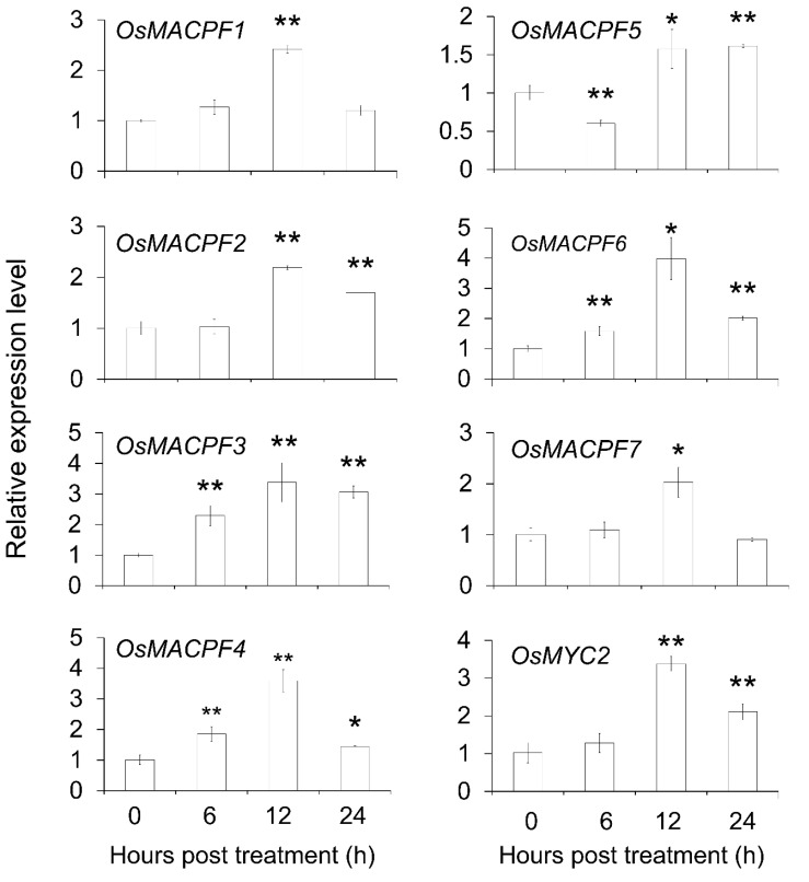 Figure 7