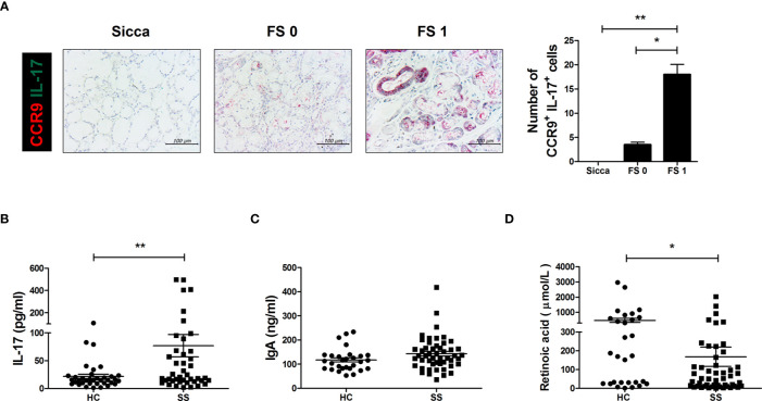 Figure 6